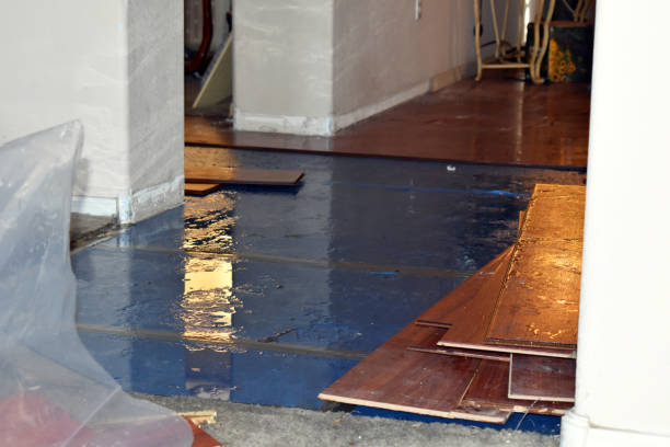 Professional Burst Pipe Cleanup technician working in New Berlin, IL